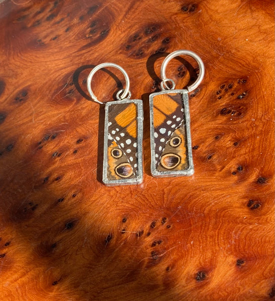 Monarch & buckeye butterfly collage earrings