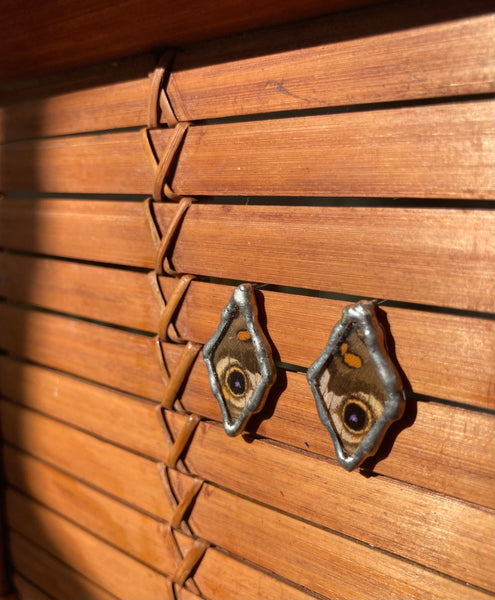 Buckeye butterfly studs