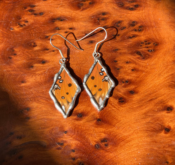 Gulf fritillary diamond blobs (medium/large)