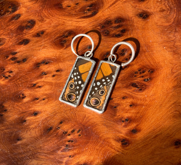 Monarch & buckeye butterfly collage earrings