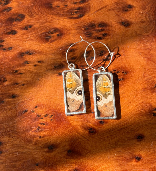 Buckeye rectangle hoops