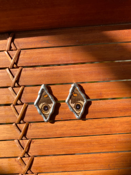 Buckeye butterfly studs
