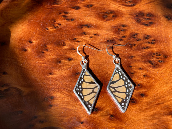 Monarch burst earrings