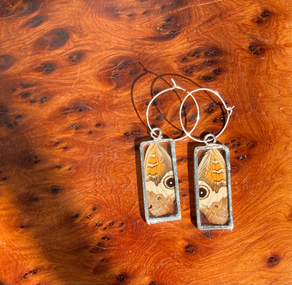 Buckeye rectangle hoops