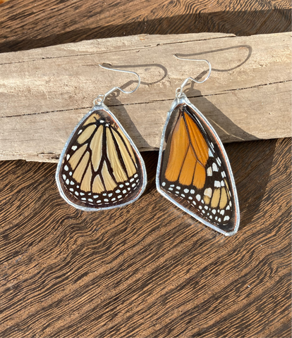 Monarch Butterfly forewing and hindwing earring set