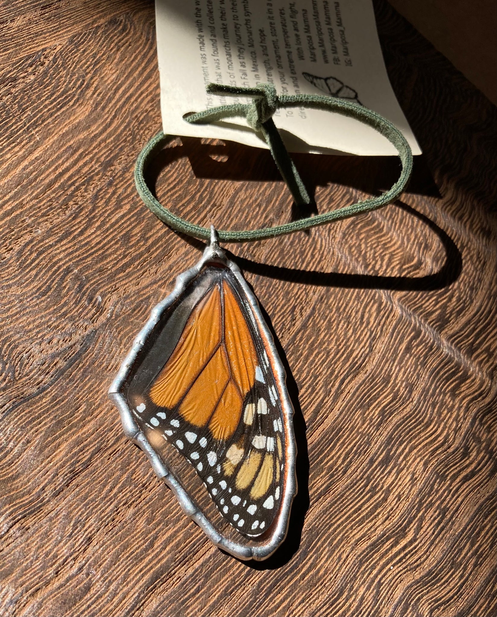 Monarch Butterfly Wing Ornament (forewing)