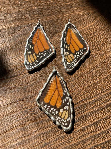 Monarch Butterfly Wing Ornament (forewing)