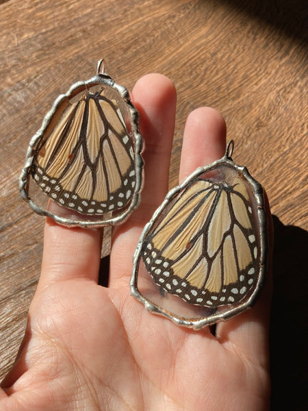 Monarch Butterfly Wing Ornament (hindwing)