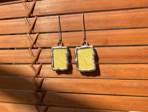 Sulfur butterfly wing dangles
