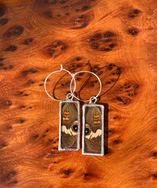 Buckeye rectangle hoops