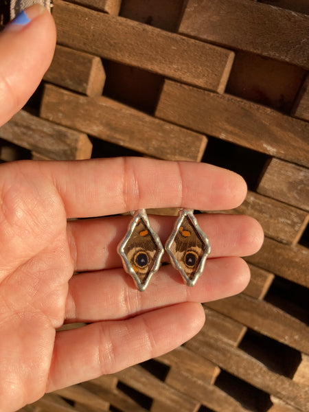 Buckeye butterfly studs