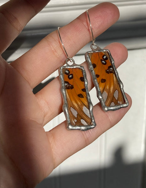 Gulf fritillary sunset windows