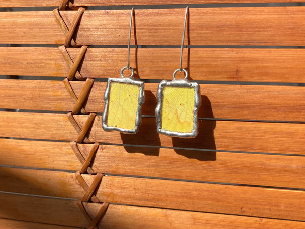 Sulfur butterfly wing dangles