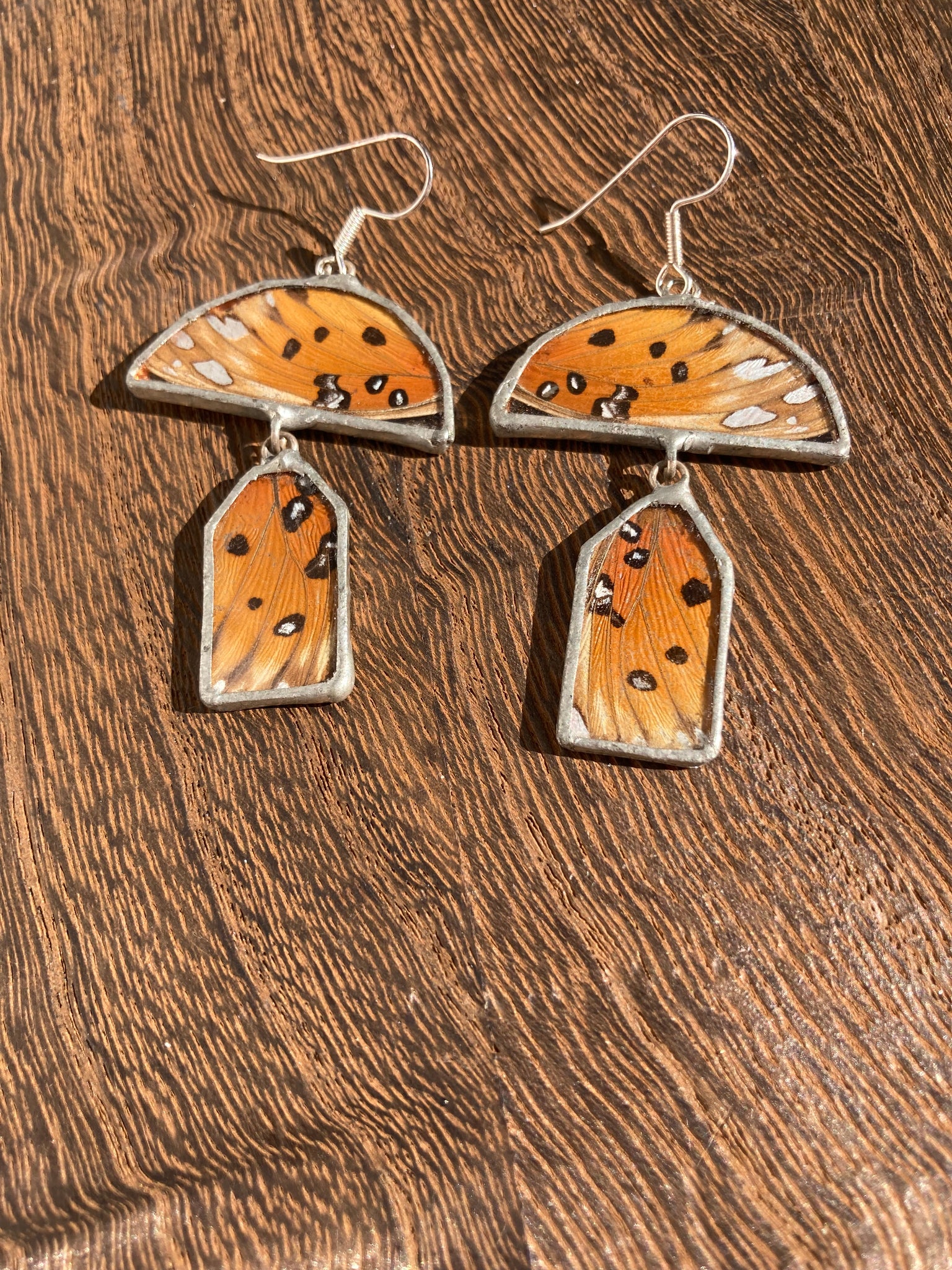 Gulf fritillary mushroom dangles